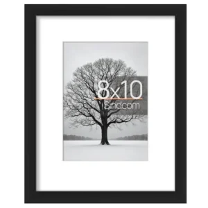 Sindcom 8 x 10 Picture Frame , Black , Gallery Wall Frame